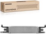 Frankberg 1X Intercooler Turbocooler Per Alfa Romeo Mito 955 Fiat Punto Evo 199 1.3L