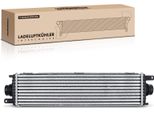 Frankberg 1X Intercooler Turbocooler Per Jaguar Xe X760 Xf Jb F-Pace X761 2.0L