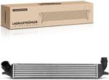 Frankberg 1X Intercooler Turbocooler Per Renault Laguna Iii Grandtour KT0/1 BT0/1 2.0L