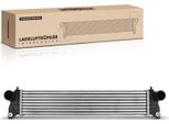 Frankberg 1X Intercooler Turbo Cooler Per Fiat Sedici Fy Suzuki SX4 Ey Gy Anno Dal 2006