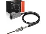 Frankberg 1X Sensore Temperatura Gas Di Scarico Per Ford C-Max Ii DXA/CB7 Dxa/Ceu Focus Ii Iii Da Dp Hcp