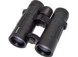 Braun Compagno - Binocolo 10 X 42 Wp - Protetto Contro L'appannamento, Impermeabile - Bordo Del Tetto