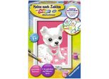Ravensburger 29684 Ravensburger Malen-Nach-Zahlen Chihuaha