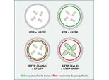 Value - Cavo Patch - Da RJ-45 (M) A RJ-45 (M) - 7 M - Sftp, Pimf - Cat 6A - Senza Alogeni, Sagomato, Senza Ganci, A Trefoli