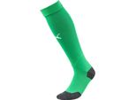 Puma Calzettoni Uomo Campionato Di Calcio Calzettoni Uomo Verde Erba Bianco Taglia 4 (43-46)