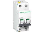 Interruttore Ls Schneider Electric A9F04616