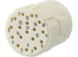 7003917102 Hummel M23 Segnale Contatto A Crimpare Inserto Presa A Crimpare, Numero Di Poli 17-Poli 160V, 8A, Colore Bianco - 1 Pezzo