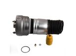 Sospensione Pneumatica Per Porsche Panamera 970 Puntone Anteriore 97034305215 97034305203