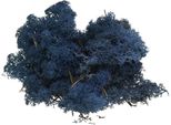 Muschio Decorativo Blu Secco Craft Colorato 500G Muschio Naturale Norvegese Decorazione Fai Da Te