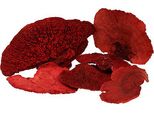 Spugna Per Alberi Rossa 1Kg - Fungo Decorativo, Decorazione Di Vetrine, Decorazione Autunnale