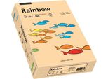 Papyrus 88042497 Rainbow Pastell - A4, 80 G/Qm, Lachs, 500 Blatt
