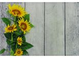 Tovaglietta Tessile Cloth Girasoli Legno Giallo Bianco 45X30 Cm