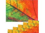Tovagliette Tessuto Tovagliette In Tessuto Foglia Autunno Venature Foglia 6Pcs