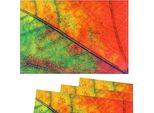 Tovagliette Tessuto Tovagliette In Tessuto Foglia Autunno Venature Foglia 4Pcs