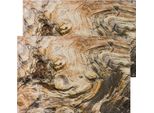 Tovagliette Tessili Cloth Venature Del Legno Natura 2 Pezzi 45X30 Cm