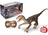 Telecomando Raptor Rc Marrone 45 Cm