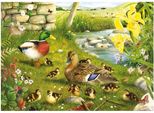 Casa Del Puzzle Anatre All'acqua 500 Xl Teile Tiere