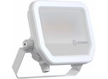 Ledvance Proiettore Led FL20P17W2K4LM830..WT Ledvance