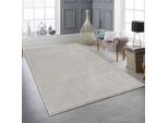 Tappeto Argento Tinta Unita Moderno Morbido Elegante Stile Living Dimensioni - 160 X 230 Cm