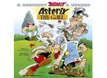 Asterix Il Gallo
