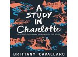 Uno Studio A Charlotte