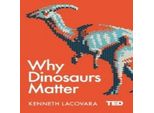 Perché I Dinosauri Sono Importanti