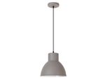 Rabalux 2579 Lampada A Sospensione 1 Spot Derek, E27, Argento, Rotonda, Industriale, ø275Mm