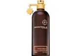Montale Aoud Forest Eau De Parfum Unisex 100 Ml