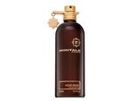 Montale Paris - Aoud Musk Edp 100Ml