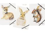 Pagna 21654-25 3 Pagna Eckspanner Save Me Din A4 Rehkitz, Hase, EichhöRnchen
