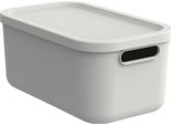 Scatola Per Decorazioni Albula Light 12 L Vischio Bianco