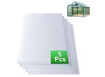 Hengda 5X Lastre A Doppia Parete 8 Mm Tagliate Su Misura 121X60,5 Cm Policarbonato 3,66M² Resistente Ai Raggi Uv Lastre Trasparenti A Doppia Parete Per Serre Lastre A Parete Multipla