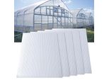Tolletour 5X Lastre Alveolari 8Mm Tagliabili 121X60,5Cm Policarbonato 3,66M² Resistente Ai Raggi Uv Lastre Alveolari Trasparenti Lastre Per Serre Lastre Alveolari
