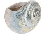 Vaso Decorativo Marittimo A Forma Di Lumaca Per Un Elegante Design Da Parete