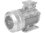 MS100L2-4 - Motore Asincrono Trifase - Potenza 3 Kw - Tensione 230/400 V - Diametro Albero 28 Mm - Velocità 1435 Rpm - Esecuzione B3 - Argento