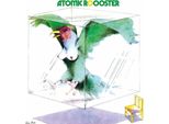 Gallo Atomico-Gallo Atomico