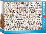 Eurographics Puzzle Mondo Dei Cani 2000 Pezzi