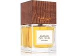 Carner Eau de Parfum Ambar Del Sur Eau de Parfum