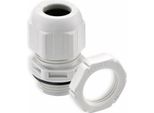 Wiska Pressacavo, 10066525, ESKV-SET 16, M 16X1,5, Metrico, Grigio Chiaro