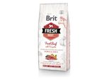 Brit Fresh Beef Con Zucca Puppy Large 2,5 Kg