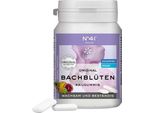 Gomme Da Masticare A Concentrazione Secondo Il Dr. Bach 40 Pz