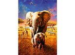 Bluebird Puzzle Elefanti 1000 Pezzi