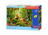 Castorland Tiger Majesty Puzzle 260 Pezzi