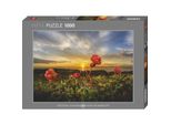 Heye Puzzle Di Spore Di Gelso 1000 Pezzi