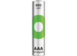 Gp GPRCK65AAA082C2 2 Gp Akkus Recyko+ Micro Aaa 650 Mah