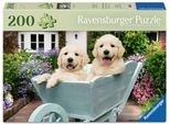 Ravensburger Golden Retriever 12001368