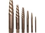 Bgs Set Di Estrattori Per Viti 6 Pezzi - 8549