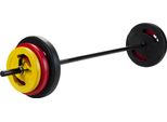Pure2Improve Set Di Manubri In Cemento Da 20 Kg