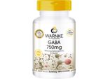 Gaba 750 Mg Capsule 60 Capsule