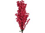 Ramo Di Decorazione Clayre & Eef 100 Cm Plastica Rosa